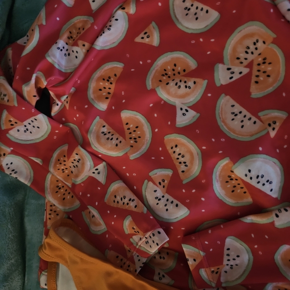 Gymboree Pink Watermelon Rashguard Set - Picture 2 of 7